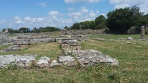 paestum 14