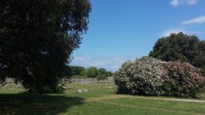 paestum 7