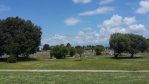 paestum 8