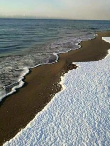 neve-luppino