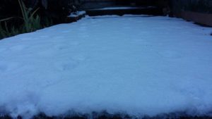 neve2