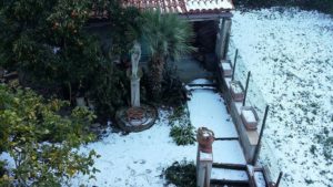neve9